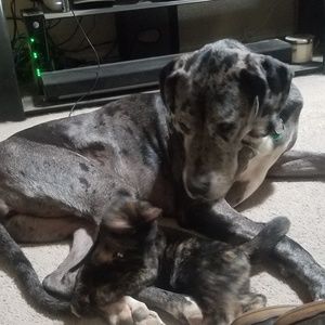 Meet your Posher, Mary